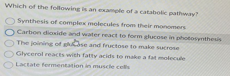 Which of the following is an example of a catabolic pathway?
Synthesis of complex molecules from their monomers
Carbon dioxide and water react to form glucose in photosynthesis
The joining of glucose and fructose to make sucrose
Glycerol reacts with fatty acids to make a fat molecule
Lactate fermentation in muscle cells