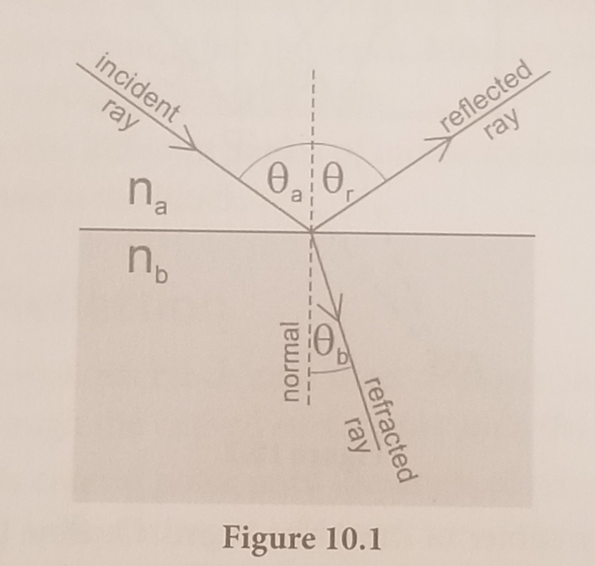 incident
reflected
ray
ray
a
Figure 10.1
refracted
ray
normal
