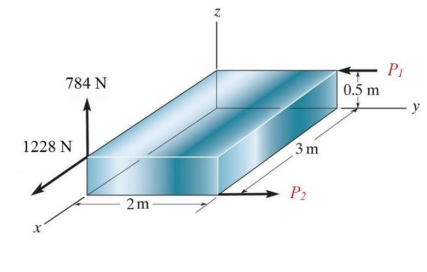 P1
0.5 m
784 N
y
1228 N
3m
P2
2m
