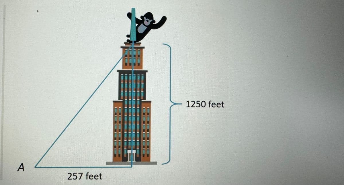 A
257 feet
1250 feet