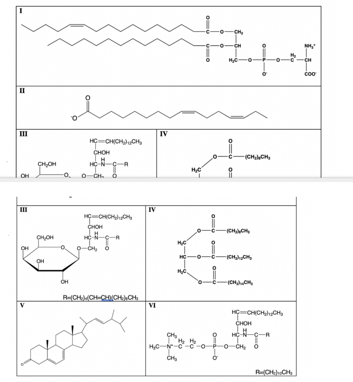 CH2
0-CH
NH,+
H2
C -CH
H2C
COO
II
III
IV
HC=CH(CH2)12CH3
СНОН
(CH2),CH3
CH,OH
НС-N—с—R
H2C
OH
0–CH,.
III
IV
HC=CH(CH2)12CH3
СНОН
(CH2)&CH3
CH,OH
H
HC-N-C-R
H2C
OH
-CH2
HC
-(CH)12CH3
OH
H2C.
OH
(CH2)14CH3
R=(CH2)a(CH=CH)(CH2);CH3
VI
V
HC=CH(CH2)12CH3
CHOH
CH3
H2 H2
H3C-N+-C-c
H
HC-N-C-R
||
-0-CH2
ČH3
R=(CH2)10CH3
