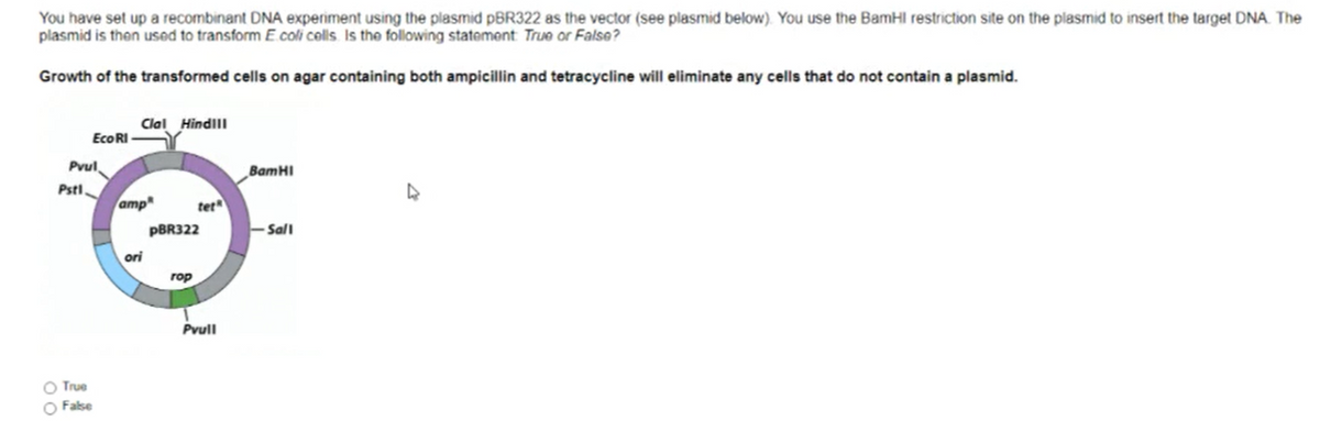 You have set up a recombinant DNA experiment using the plasmid PBR322 as the vector (see plasmid below). You use the BamHI restriction site on the plasmid to insert the target DNA. The
plasmid is then used to transform E.coli colls Is the following statement True or False?
Growth of the transformed cells on agar containing both ampicillin and tetracycline will eliminate any cells that do not contain a plasmid.
Clal Hindlll
EcoRI
Pvul
BamHI
Pstl
amp
tet
PBR322
-Sall
ori
rop
Pvull
True
False
