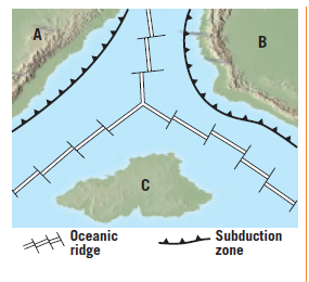 A
H Oceanic
ridge
wu Subduction
zone
B.
