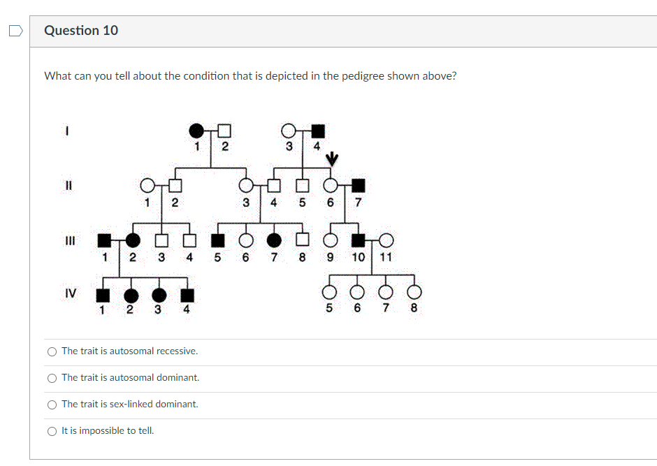 Question 10
What can you tell about the condition that is depicted in the pedigree shown above?
2
4
2
3
4 5
6
7
II
2
3
4 5 6 7 8
9
10
11
IV
1 2 3
4
5 6 7
8
O The trait is autosomal recessive.
O The trait is autosomal dominant.
O The trait is sex-linked dominant.
O It is impossible to tell.

