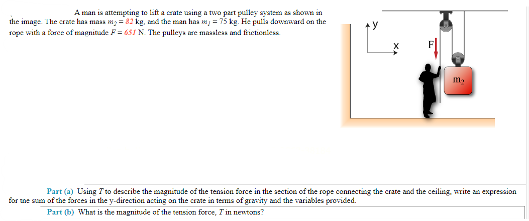 A man is attempting to lift a crate using a two part pulley system as shown in
the image. The crate has mass m₂ = 82 kg, and the man has my = 75 kg. He pulls downward on the
rope with a force of magnitude F = 651 N. The pulleys are massless and frictionless.
m₂
Part (a) Using I to describe the magnitude of the tension force in the section of the rope connecting the crate and the ceiling, write an expression
for the sum of the forces in the y-direction acting on the crate in terms of gravity and the variables provided.
Part (b) What is the magnitude of the tension force, Tin newtons?