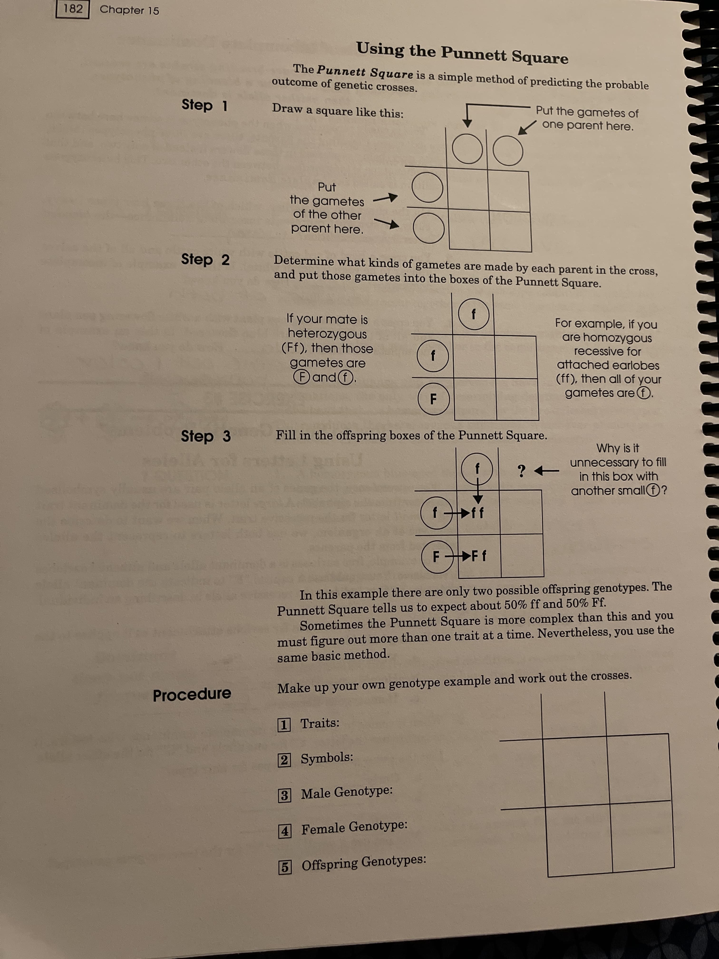 182
Chapter 15
Using the Punnett Square
The Punnett Square is a simple method of predicting the probable
outcome of genetic crosses.
Step 1
Draw a square like this:
Put the gametes of
one parent here.
Put
the gametes
of the other
parent here.
Step 2
Determine what kinds of gametes are made by each parent in the cross,
and put those gametes into the boxes of the Punnett Square.
If your mate is
heterozygous
(Ff), then those
gametes are
For example, if you
are homozygous
recessive for
attached earlobes
(ff), then all of your
gametes are
Step 3
Fill in the offspring boxes of the Punnett Square.
Why is it
unnecessary to fill
in this box with
another smallf?
ff
F Ff
In this example there are only two possible offspring genotypes. The
Punnett Square tells us to expect about 50% ff and 50% Ff.
Sometimes the Punnett Square is more complex than this and you
must figure out more than one trait at a time. Nevertheless, you use the
same basic method.
Procedure
Make up your own genotype example and work out the crosses.
1 Traits:
2 Symbols:
3 Male Genotype:
4 Female Genotype:
5 Offspring Genotypes:
