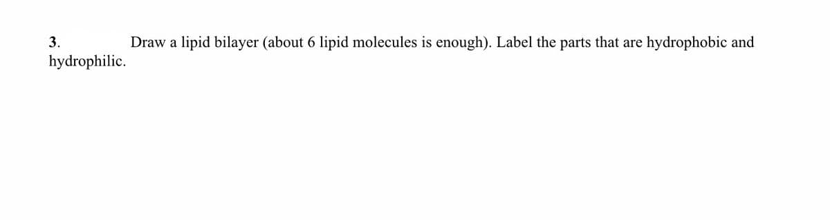 3.
Draw a lipid bilayer (about 6 lipid molecules is enough). Label the parts that are
hydrophobic and
hydrophilic.
