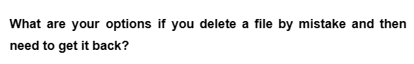 What are your options if you delete a file by mistake and then
need to get it back?