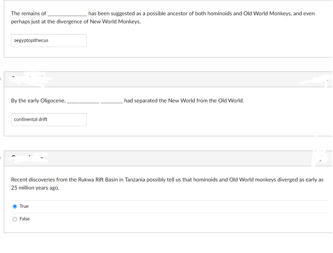 The remains of
has been suggested as a possible ancestor of both hominoids and Old World Monkeys, and even
perhaps just at the divergence of New World Monkeys.
aegyptopithecus
By the early Oligocene,
continental drift
Recent discoveries from the Rukwa Rift Basin in Tanzania possibly tell us that hominoids and Old World monkeys diverged as early as
25 million years ago.
True
had separated the New World from the Old World.
False