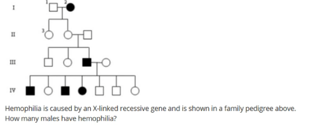 II
IV
Hemophilia is caused by an X-linked recessive gene and is shown in a family pedigree above.
How many males have hemophilia?
