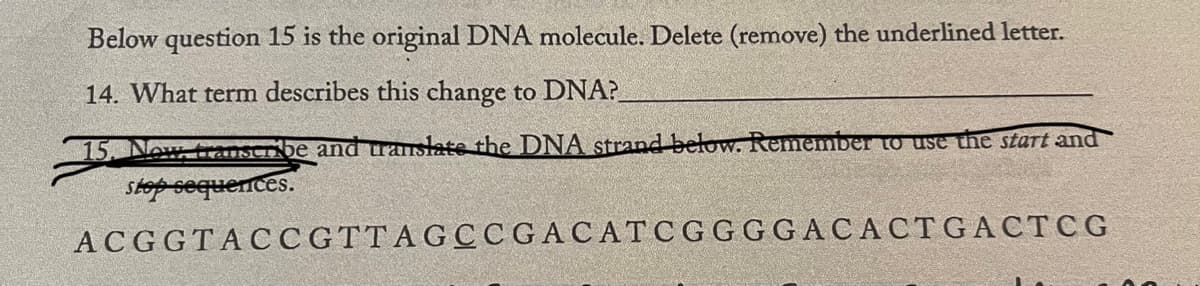 Below question 15 is the original DNA molecule. Delete (remove) the underlined letter.
14. What term describes this change to DNA?
15. Now transcribe and translate the DNA strand below. Remember to use the start and
stop sequences.
ACGGTACCGTTAGCCGACATCGGGGACACTGACTCG