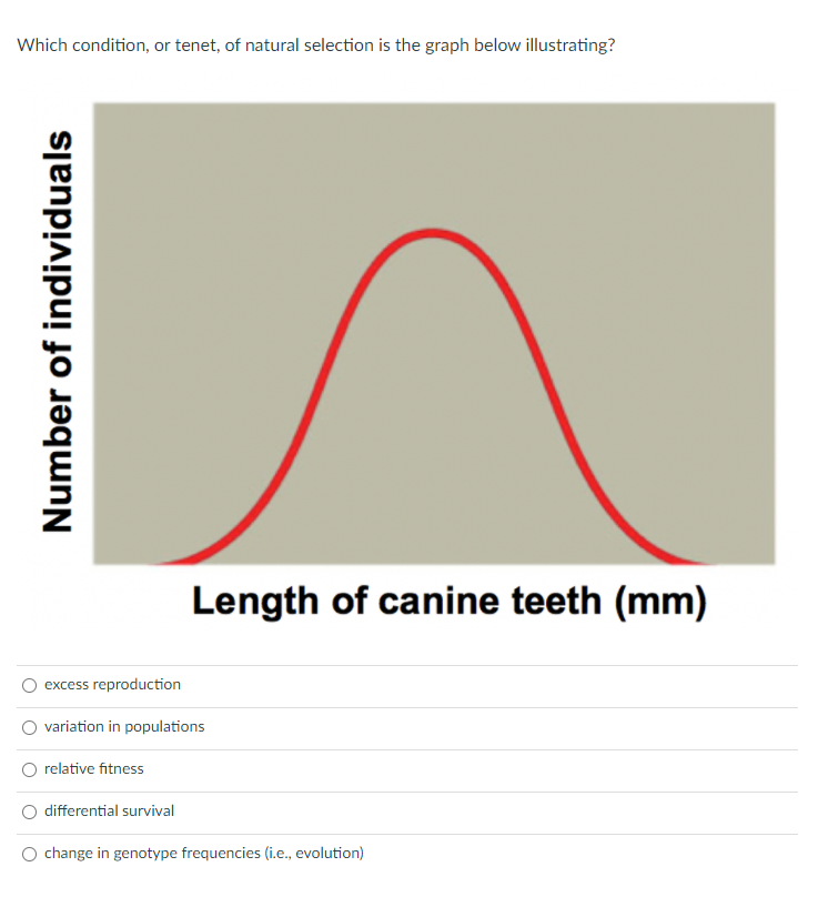 Which condition, or tenet, of natural selection is the graph below illustrating?
Length of canine teeth (mm)
excess reproduction
variation in populations
relative fitness
differential survival
O change in genotype frequencies (i.e., evolution)
Number of individuals
