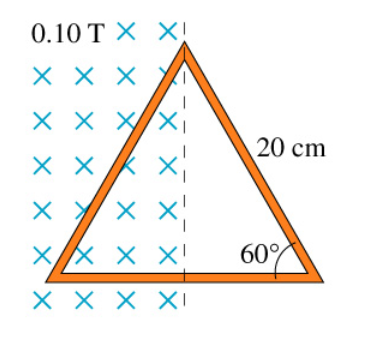 0.10 TXX!
X X X
X X
XX
X X
20 cm
X X X
ХХ
XXX
XXX XI
60%