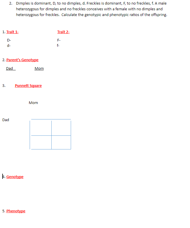 2. Dimples is dominant, D, to no dimples, d. Freckles is dominant, F, to no freckles, f. A male
heterozygous for dimples and no freckles conceives with a female with no dimples and
heterozygous for freckles. Calculate the genotypic and phenotypic ratios of the offspring.
1. Trait 1-
Trait 2-
D-
F-
d-
f-
2. Parent's Genotype
Dad
Mom
Punnett Square
Mom
Dad
4. Genotype
5. Phenotype
3.
