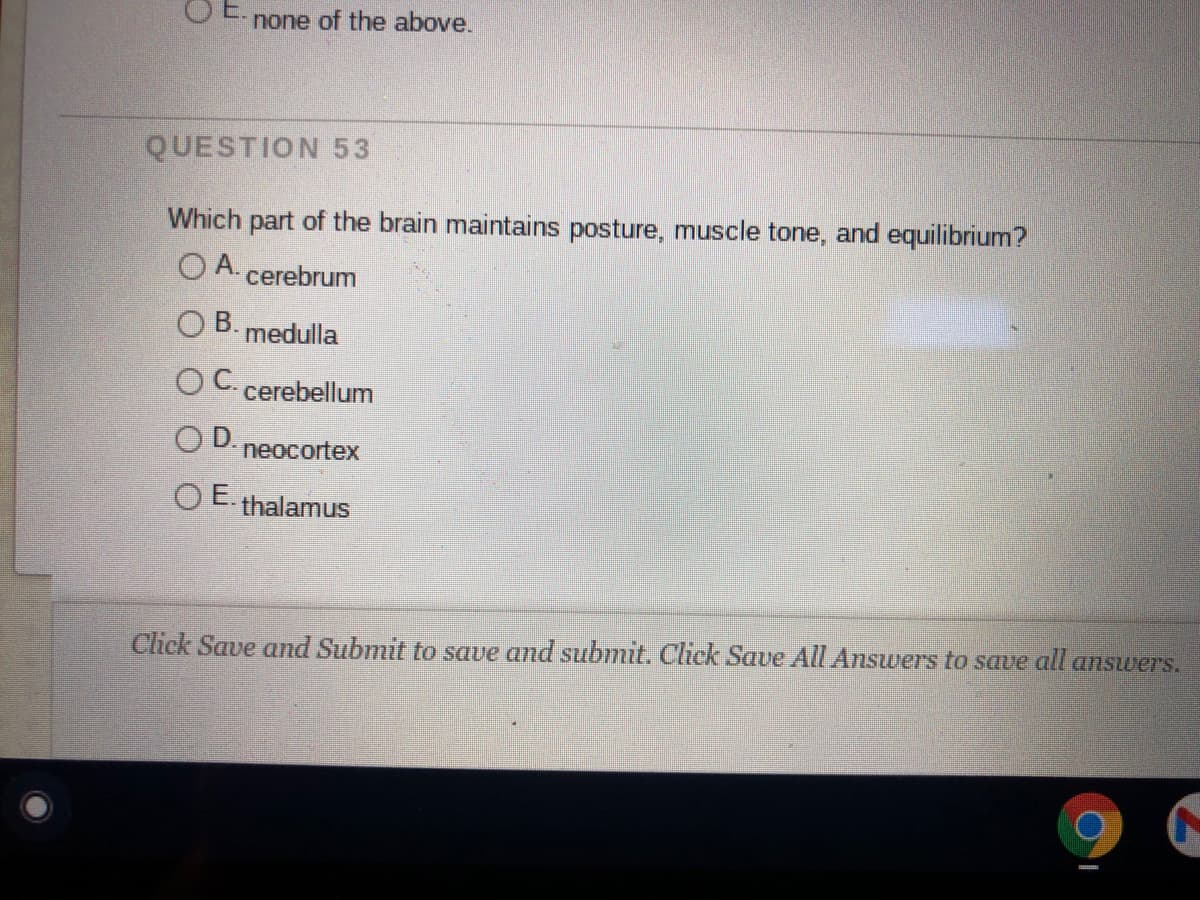 O E.
none of the above.
QUESTION 53
Which part of the brain maintains posture, muscle tone, and equilibrium?
O A. cerebrum
O B. medulla
OC cerebellum
OD.
neocortex
O E. thalamus
Cliek Save and Submit to save and submit. Click Save All Answers to save all answers.
