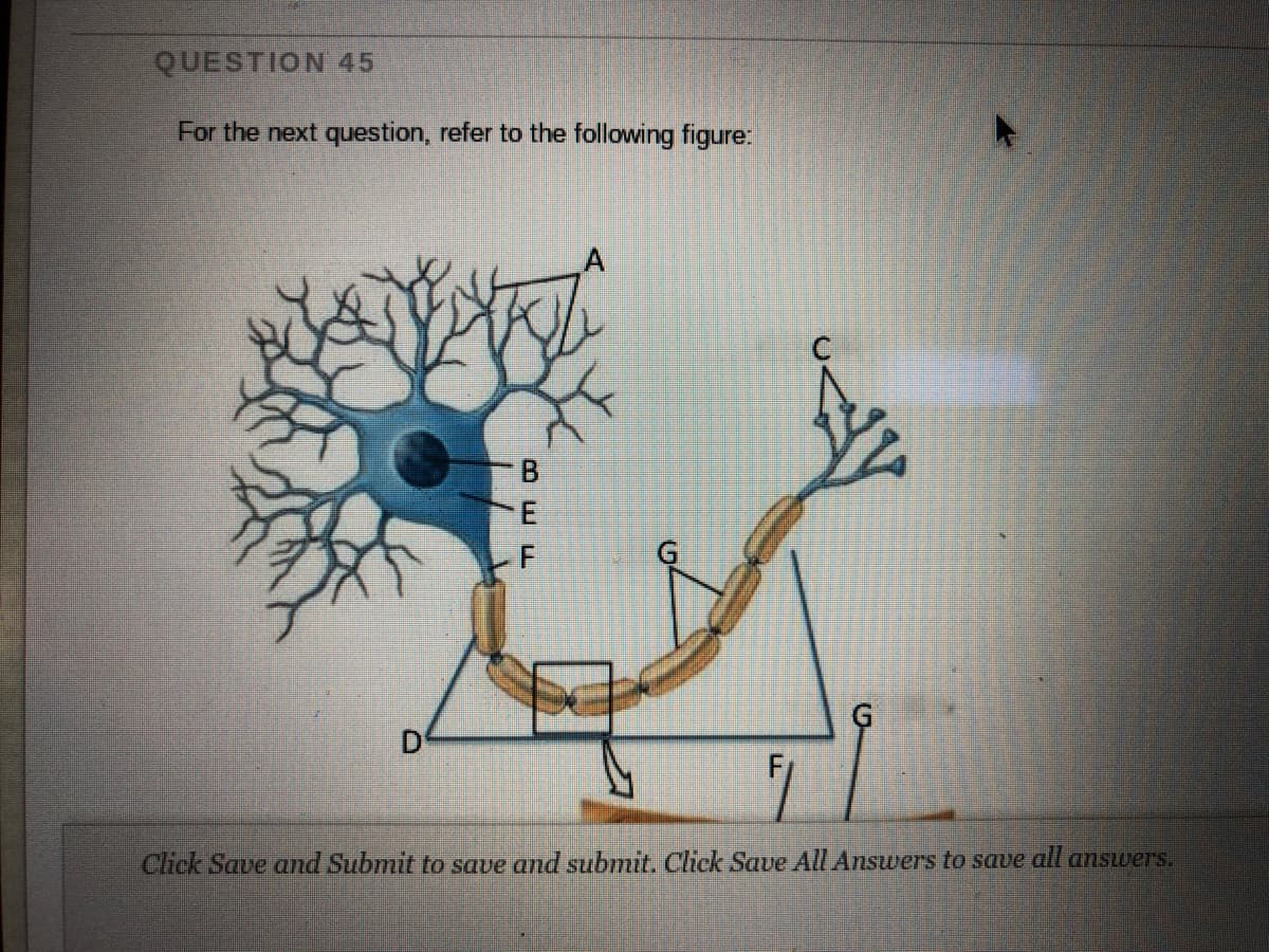 QUESTION 45
For the next question, refer to the following figure:
Click Save and Submit to save and submit. Click Save All Answers to save all answers.
BEF
