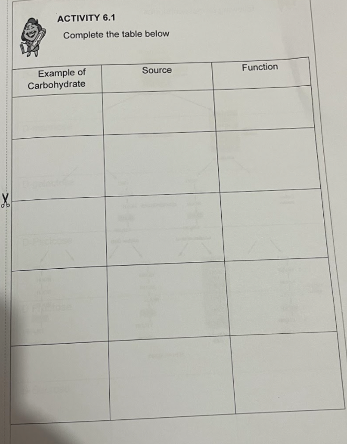 ACTIVITY 6.1
Complete the table below
Example of
Carbohydrate
Source
Function
