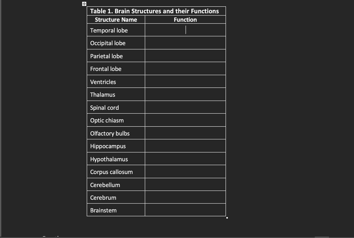 +
Table 1. Brain Structures and their Functions
Structure Name
Function
Temporal lobe
Occipital lobe
Parietal lobe
Frontal lobe
Ventricles
Thalamus
Spinal cord
Optic chiasm
Olfactory bulbs
Hippocampus
Hypothalamus
Corpus callosum
Cerebellum
Cerebrum
Brainstem