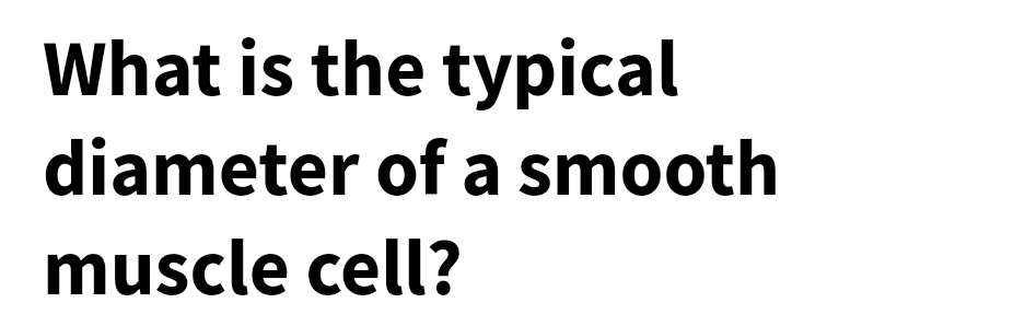 What is the typical
diameter of a smooth
muscle cell?
