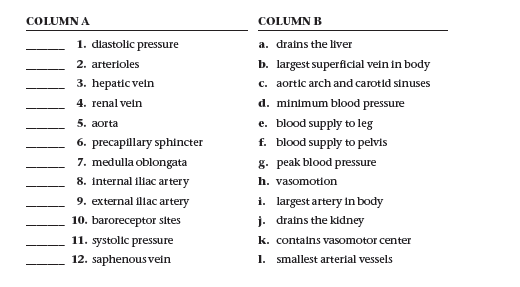 COLUMN A
COLUMN B
1. dlastolic pressure
a. drains the liver
b. largest superficial vein in body
c. aortic arch and carotid sinuses
2. arterioles
3. hepatic veln
4. renal veln
d. minimum blood pressure
5. aorta
e. blood supply to leg
6. precapillary sphincter
f. blood supply to pelvis
7. medulla oblongata
g. peak blood pressure
8. internal iliac artery
h. vasomotion
i. largest artery in body
j. drains the kidney
9. external illac artery
10. baroreceptor sites
11. systolic pressure
k. contains vasomotor center
12. saphenous vein
1. smallest arterial vessels
