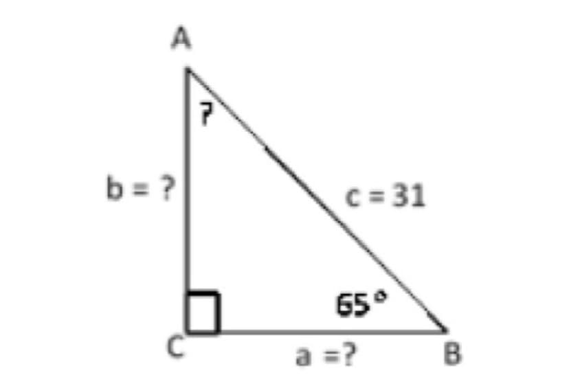 A
b = ?
C = 31
65°
a =?
В
