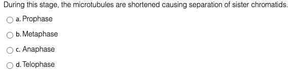 During this stage, the microtubules are shortened causing separation of sister chromatids.
a. Prophase
O b. Metaphase
c. Anaphase
d. Telophase

