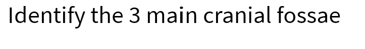 Identify the 3 main cranial fossae

