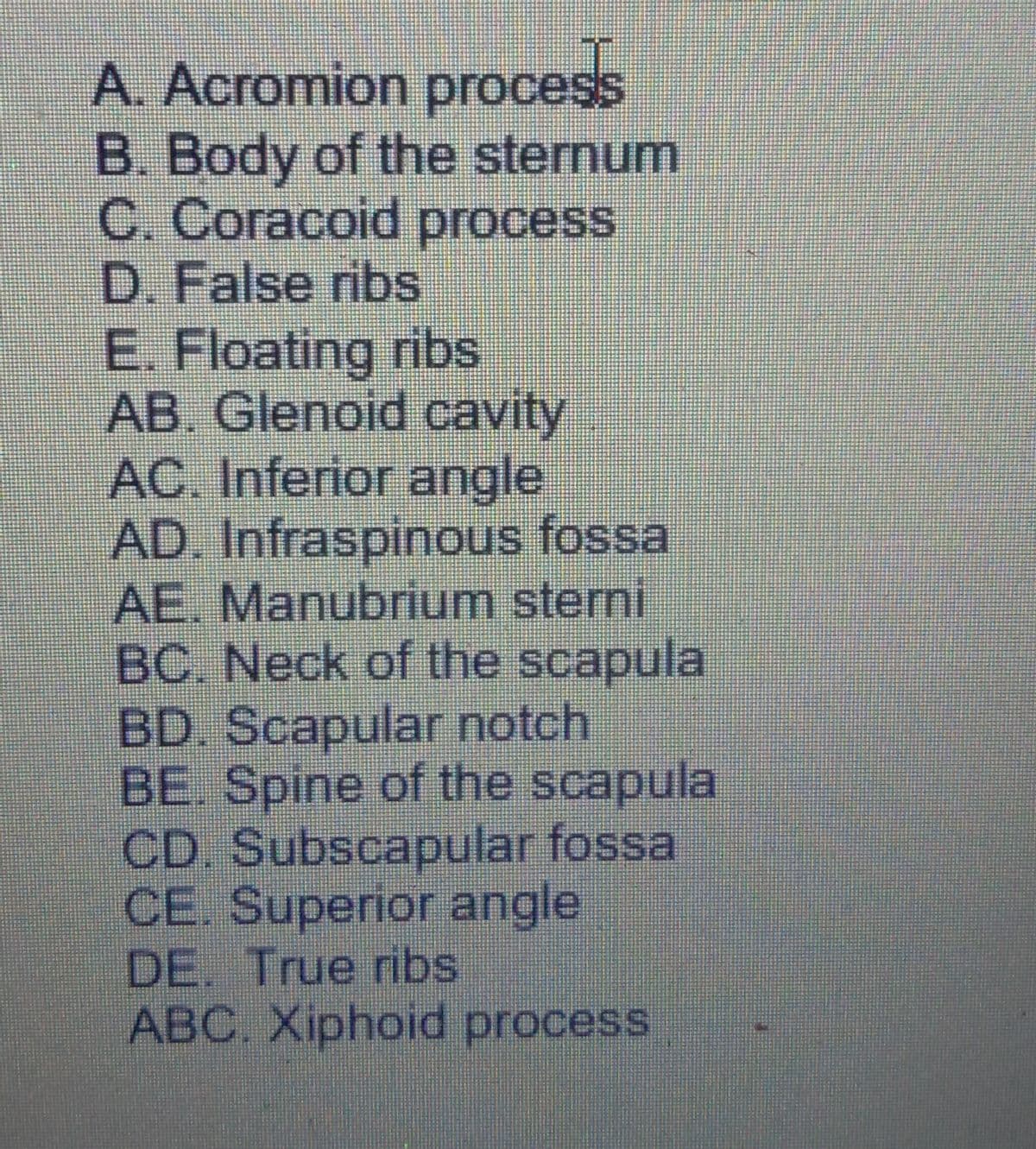 A. Acromion process
B. Body of the sternum
C. Coracoid process
D. False ribs
E. Floating ribs
AB. Glenoid cavity
AC. Inferior angle
AD. Infraspinous fossa
AE. Manubrium sterni
BC. Neck of the scapula
BD. Scapular notch
BE. Spine of the scapula
CD. Subscapular fossa
CE. Superior angle
DE. True ribs
ABC. Xiphoid process
