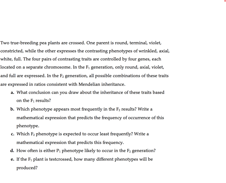 Two true-breeding pea plants are crossed. One parent is round, terminal, violet,
constricted, while the other expresses the contrasting phenotypes of wrinkled, axial,
white, full. The four pairs of contrasting traits are controlled by four genes, each
located on a separate chromosome. In the F₁ generation, only round, axial, violet,
and full are expressed. In the F₂ generation, all possible combinations of these traits
are expressed in ratios consistent with Mendelian inheritance.
a. What conclusion can you draw about the inheritance of these traits based
on the F₁ results?
b. Which phenotype appears most frequently in the F₂ results? Write a
mathematical expression that predicts the frequency of occurrence of this
phenotype.
c. Which F2 phenotype is expected to occur least frequently? Write a
mathematical expression that predicts this frequency.
d. How often is either P₁ phenotype likely to occur in the F₂ generation?
e. If the F₁ plant is testcrossed, how many different phenotypes will be
produced?