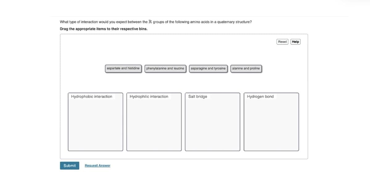 What type of interaction would you expect between the R groups of the following amino acids in a quaternary structure?
Drag the appropriate items to their respective bins.
Reset
Help
aspartate and histidine
phenylalanine and leucine
asparagine and tyrosine
alanine and proline
Hydrophobic interaction
Hydrophilic interaction
Salt bridge
Hydrogen bond
Submit
Request Answer
