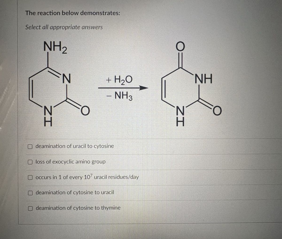 The reaction below demonstrates:
Select all appropriate answers
NH2
N
+ H₂O
NH
ΖΙ
-
NH3
ZI
deamination of uracil to cytosine
loss of exocyclic amino group
occurs in 1 of every 107 uracil residues/day
deamination of cytosine to uracil
deamination of cytosine to thymine
