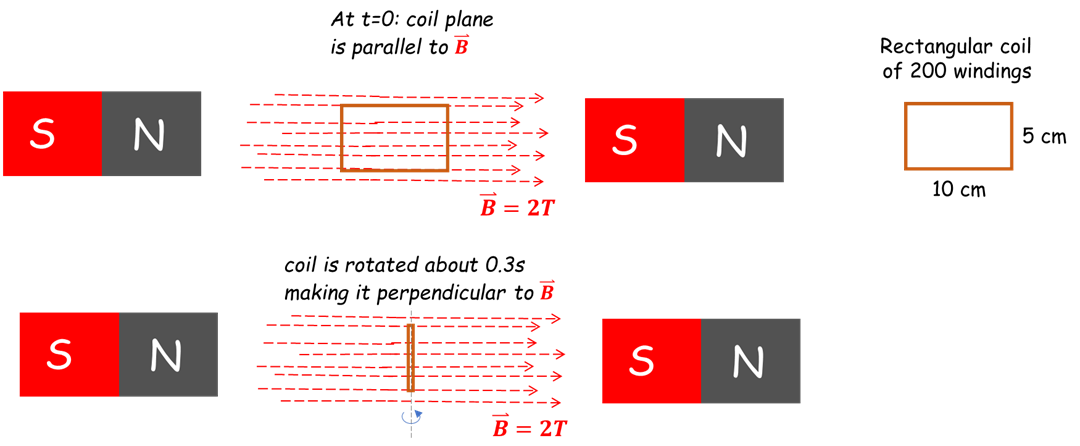 At t=0: coil plane
is parallel to B
Rectangular coil
of 200 windings
S N
S N
5 ст
10 ст
В 3 2T
coil is rotated about 0.3s
making it perpendicular to B
S N
S N
В 3 2T
