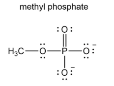 methyl phosphate
:0:
H3C-o-
-P-
:ó:
