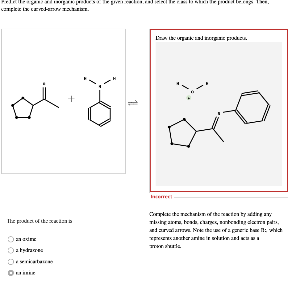 Predict the organic and inorganic products of the given reaction, and select the class to which the product belongs. Then,
complete the curved-arrow mechanism.
Draw the organic and inorganic products.
H
H
H
+
Incorrect
Complete the mechanism of the reaction by adding any
The product of the reaction is
missing atoms, bonds, charges, nonbonding electron pairs,
and curved arrows. Note the use of a generic base B:, which
an oxime
represents another amine in solution and acts as a
proton shuttle.
a hydrazone
a semicarbazone
an imine
