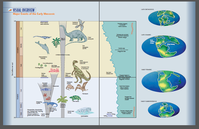 VISUAL OVERVIEW
Major Events of the Early Mesozoic
LATE CRTA S
145
Miar ri
ilatike
P nd
dia
Nelan
la w
Narh Amria
Timan d
ng Narh Amrian
LAJMAN:
napd
Tarty
A
Tay
raid
uie
Caki
Arie
meCSRM FLORA
Itykapl
dimity
NIM
VIRTIRATE
GRCNIS
ni ly
Dian r
dani
Dieini
EARLY TRIASSE
Thrap
Pagagim to
bmuk artl
atiactina
Mag
Manmal
Rad
Pad ien
Na Amria
radation
Pag t
EARLY CARIONFZCNS
Eiry of
meltin
Silin, ronbalin,
Se myd
ma ms
Neth Aka
andgtae"ding
Sp d
urtn'red the
nduad mteof
graand umown
Spreri
Plling
