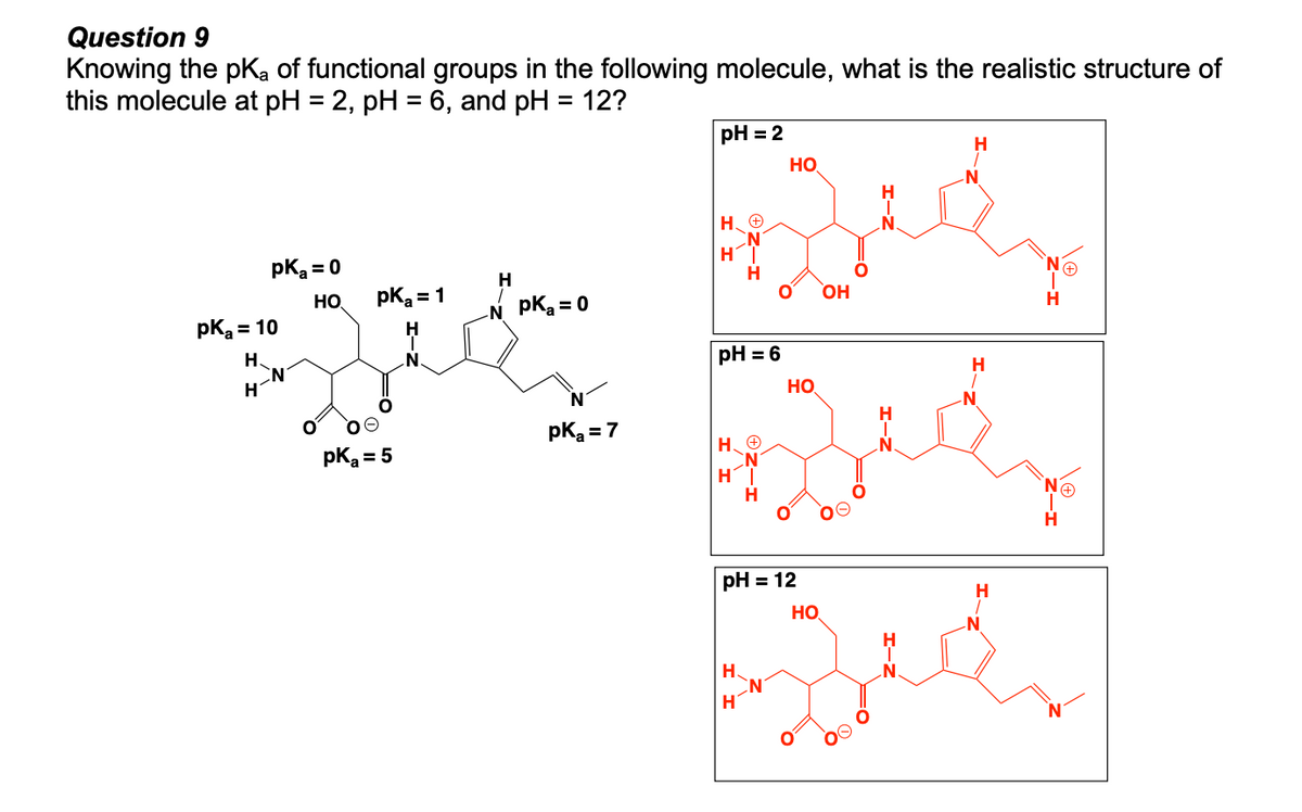 Question 9
Knowing the pka of functional groups in the following molecule, what is the realistic structure of
this molecule at pH = 2, pH = 6, and pH = 12?
pK₂ = 0
HO
pK₂ = 1
Byte
H
N.
pka: = 5
pK₂ = 10
H
H
H
N
pK₂ = 0
pK₂ = 7
pH = 2
H. Ⓒ
HT
H
pH = 6
HO
H₂ Ⓒ
I I
I-ZO
HO
H.
H
O
N
pH = 12
ge
HO
OH
O
8
%
o=
Z-I