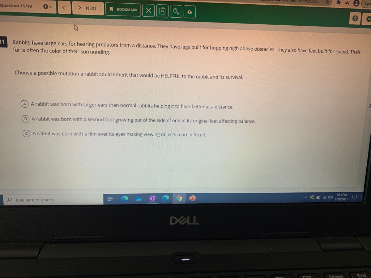 * E 8 Upd
Question 11/19
> NEXT
A BOOKMARK
Rabbits have large ears for hearing predators from a distance. They have legs built for hopping high above obstacles. They also have feet built for speed. Their
fur is often the color of their surrounding.
Choose a possible mutation a rabbit could inherit that would be HELPFUL to the rabbit and its survival.
A A rabbit was born with larger ears than normal rabbits helping it to hear better at a distance.
BA rabbit was born with a second foot growing out of the side of one of its original feet affecting balance.
A rabbit was born with a film over its eyes making viewing objects more difficult.
1:25 PM
A E D A )
P Type here to search
3/19/2021
DELL
Home
End
