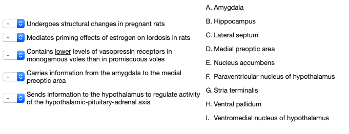 A. Amygdala
|Undergoes structural changes in pregnant rats
B. Hippocampus
| Mediates priming effects of estrogen on lordosis in rats
C. Lateral septum
D. Medial preoptic area
Contains lower levels of vasopressin receptors in
monogamous voles than in promiscuous voles
Carries information from the amygdala to the medial
preoptic area
E. Nucleus accumbens
F. Paraventricular nucleus of hypothalamus
Sends information to the hypothalamus to regulate activity G. Stria terminalis
of the hypothalamic-pituitary-adrenal axis
H. Ventral pallidum
I. Ventromedial nucleus of hypothalamus
