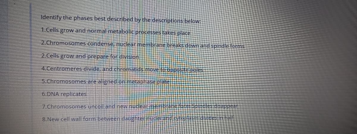 Identify the phases best described by the descriptions below:
1. Cells grow and normal metabolic processes takes place
2.Chromosomes condense nuclear membrane breaks down and spindle forms
2.Cells grow and prepare for division
4.Centromeres dividê, and chromatids move to opposite poles
5.Chromosomes are aligned on metaphase plate
6.DNA replicates
7. Chromosomes uncoil and new nuce
braneorm Spindles disappear
8.New cell wall form between daughter thuclei and cyioolasm divides in half
