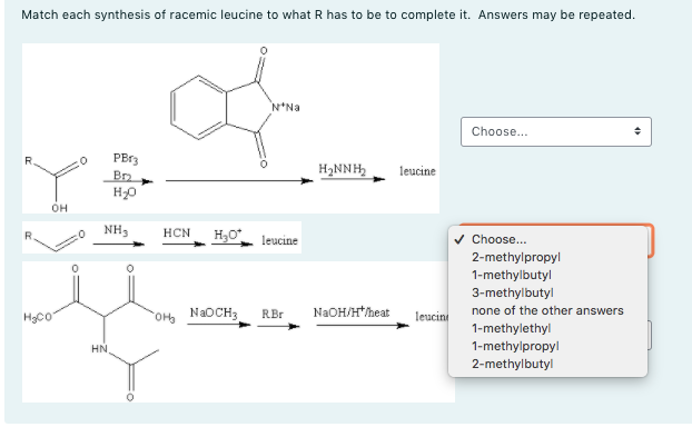 Match each synthesis of racemic leucine to what R has to be to complete it. Answers may be repeated.
N*Na
Choose...
PBr3
Br
H2NNH,
leucine
H20
он
NH3
HCN
H30
v Choose...
2-methylpropyl
leucine
1-methylbutyl
3-methylbutyl
HgCo
N2OH/H*heat
leucini
none of the other answers
OMy NAOCH3
RBr
1-methylethyl
HN,
1-methylpropyl
2-methylbutyl
