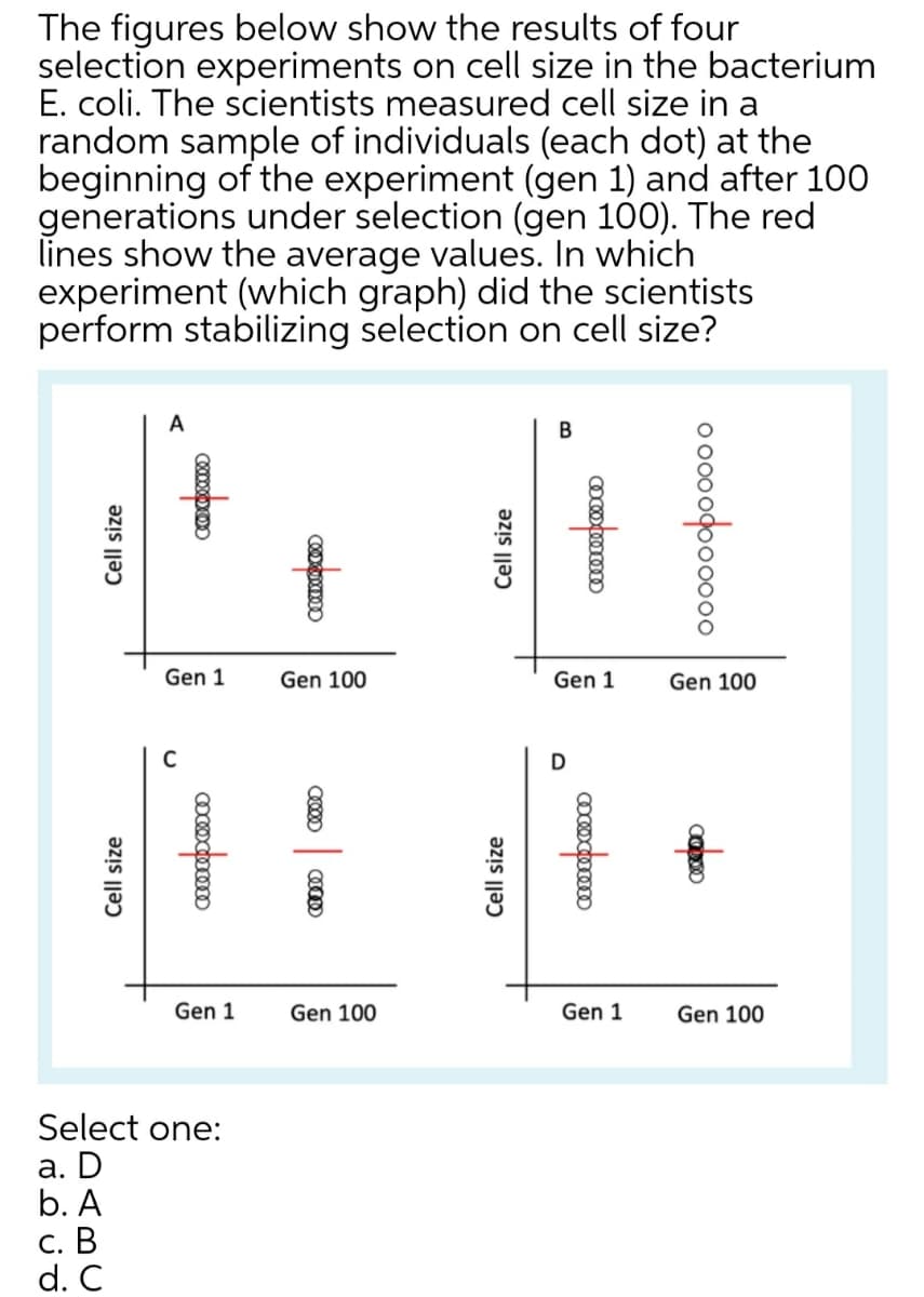 The figures below show the results of four
selection experiments on cell size in the bacterium
E. coli. The scientists measured cell size in a
random sample of individuals (each dot) at the
beginning of the experiment (gen 1) and after 100
generations under selection (gen 100). The red
lines show the average values. In which
experiment (which graph) did the scientists
perform stabilizing selection on cell size?
A
В
Gen 1
Gen 100
Gen 1
Gen 100
D
Gen 1
Gen 100
Gen 1
Gen 100
Select one:
а. D
b. A
С. В
d. C
Cell size
Cell size
Cell size
Cell size
