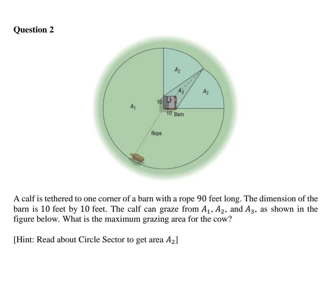 Question 2
A₁
10
Rope
A2
A3
10 Barn
A₂
A calf is tethered to one corner of a barn with a rope 90 feet long. The dimension of the
barn is 10 feet by 10 feet. The calf can graze from A₁, A2, and A3, as shown in the
figure below. What is the maximum grazing area for the cow?
[Hint: Read about Circle Sector to get area A₂]