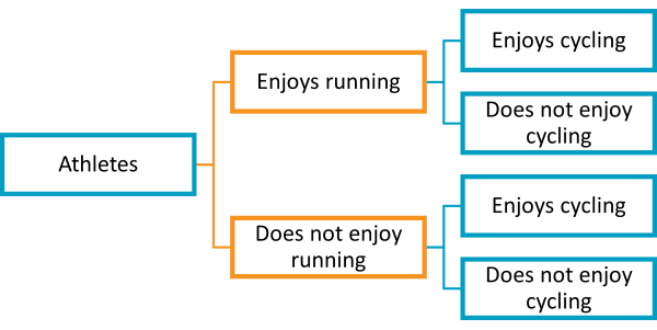 This image represents a hierarchical tree diagram, often used to visually organize information and illustrate relationships between different entities or concepts.

**Explanation:**

1. **Root Node (left-most box):**
   - The single blue box on the left represents the root node, which is the starting point or the primary subject of the diagram.

2. **Intermediate Nodes (second level):**
   - Two connecting lines extend from the root node to two orange boxes. These are intermediate nodes that represent major subcategories or key concepts derived from the root node.

3. **Subordinate Nodes (third and fourth levels):**
   - From each orange box, three blue boxes branch out, illustrating further subdivisions or specific topics related to each intermediate node.

Levels of Hierarchy:
- **Level 1 (Root Node):** The root node at the left-most part signifies the primary entity or concept.
- **Level 2 (Intermediate Nodes):** The next level consists of two key subcategories or major branches, with these nodes colored in orange.
- **Level 3 & 4 (Subordinate Nodes):** These levels depict further details or subtopics, with each major branch splitting again into three blue boxes per intermediate node. 

Each blue box on the third level has a line extending to a blue box on the fourth level, making the total number of subordinate nodes six.

This diagram effectively visualizes hierarchical relationships and can be used in multiple educational contexts such as organizational structures, project planning, biological classifications, or decision trees.