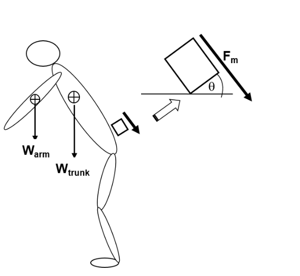 Warm
A
Wtrunk
미
θ
Fm