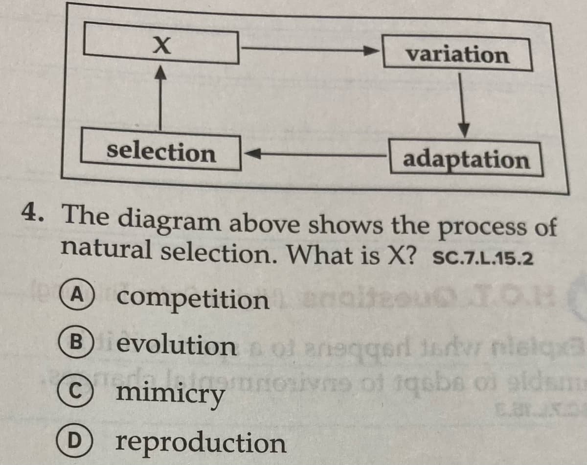 variation
selection
adaptation
4. The diagram above shows the process of
natural selection. What is X? sc.7.L.15.2
Acompetition
Bievolutionol aneggerl 16vr
Omimicry
of 1qebe oi aldsm
D
Oreproduction
