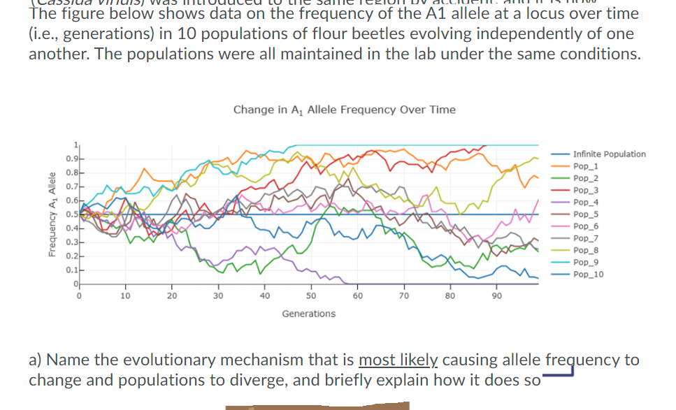 The figure below shows data on the frequency of the A1 allele at a locus over time
(i.e., generations) in 10 populations of flour beetles evolving independently of one
another. The populations were all maintained in the lab under the same conditions.
Change in A, Allele Frequency Over Time
Infinite Population
0.9-
Pop_1
Pop_2
0.8-
0.7-
a 0.6-
Pop_3
Pop_4
0.5
0.4-
0.3-
Pop_5
Pop_6
Pop_7
Pop_8
Pop_9
Pop_10
0.2-
0.1-
아
10
20
30
40
50
60
70
80
90
Generations
a) Name the evolutionary mechanism that is most likely causing allele frequency to
change and populations to diverge, and briefly explain how it does so'
Frequency A, Allele
