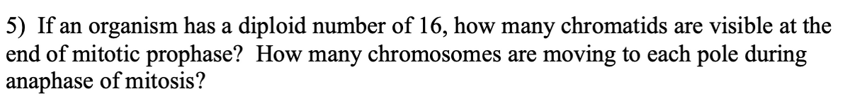 5) If an organism has a diploid number of 16, how many chromatids are visible at the
end of mitotic prophase? How many chromosomes are moving to each pole during
anaphase of mitosis?
