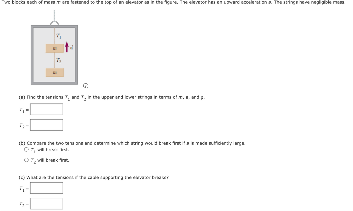 Two blocks each of mass m are fastened to the top of an elevator as in the figure. The elevator has an upward acceleration a. The strings have negligible mass.
m
T2
m
(a) Find the tensions T,
and
T2
in the upper and lower strings in terms of m, a, and g.
T1
%D
T2 =
(b) Compare the two tensions and determine which string would break first if a is made sufficiently large.
O T, will break first.
1
T, will break first.
(c) What are the tensions if the cable supporting the elevator breaks?
T1=
T2 =
