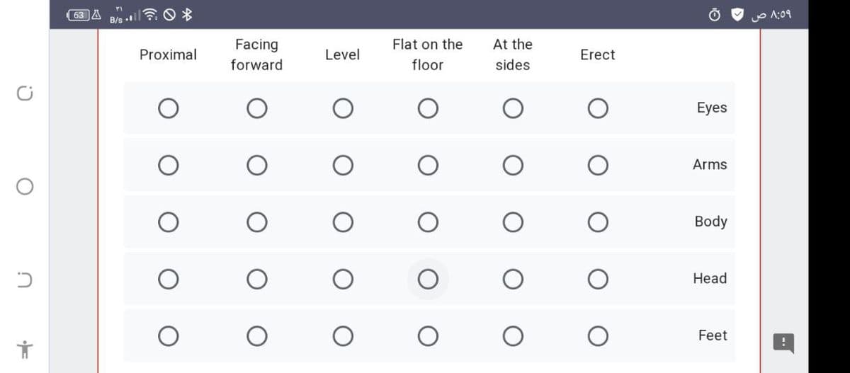 63 A
B/s .
o A:09
Facing
Flat on the
At the
Proximal
Level
Erect
forward
floor
sides
Eyes
Arms
Body
Head
Feet
