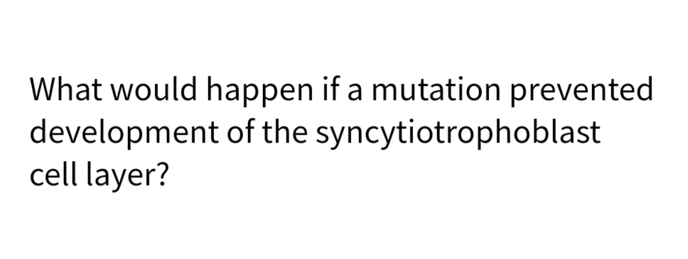 What would happen if a mutation prevented
syncytiotrophoblast
development of the
cell layer?